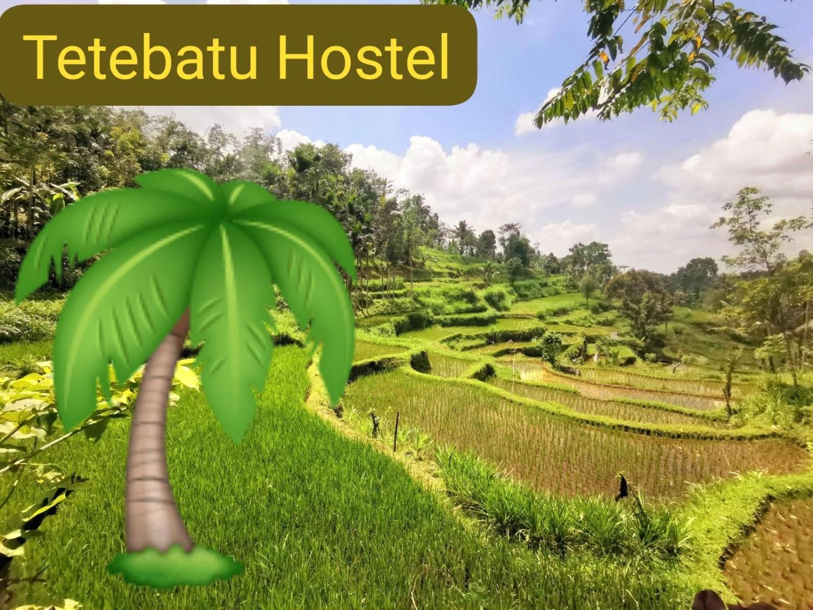 Tetebatu Hostel Экстерьер фото